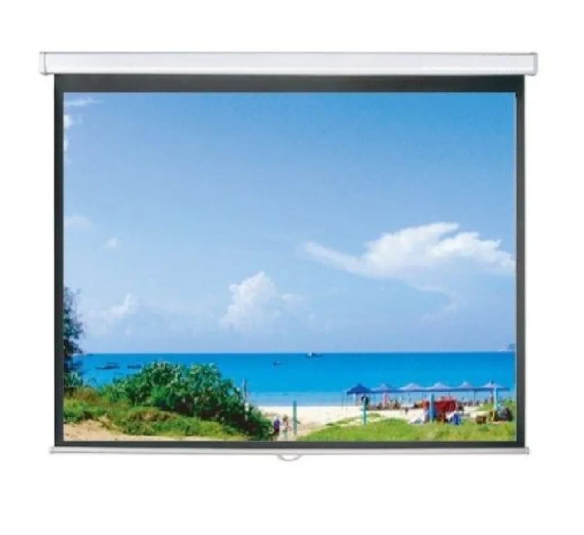 Màn chiếu kéo tay 120 inch 2,13m x 2,13m – ảnh sản phẩm thực tế tại THIETBISO.COM