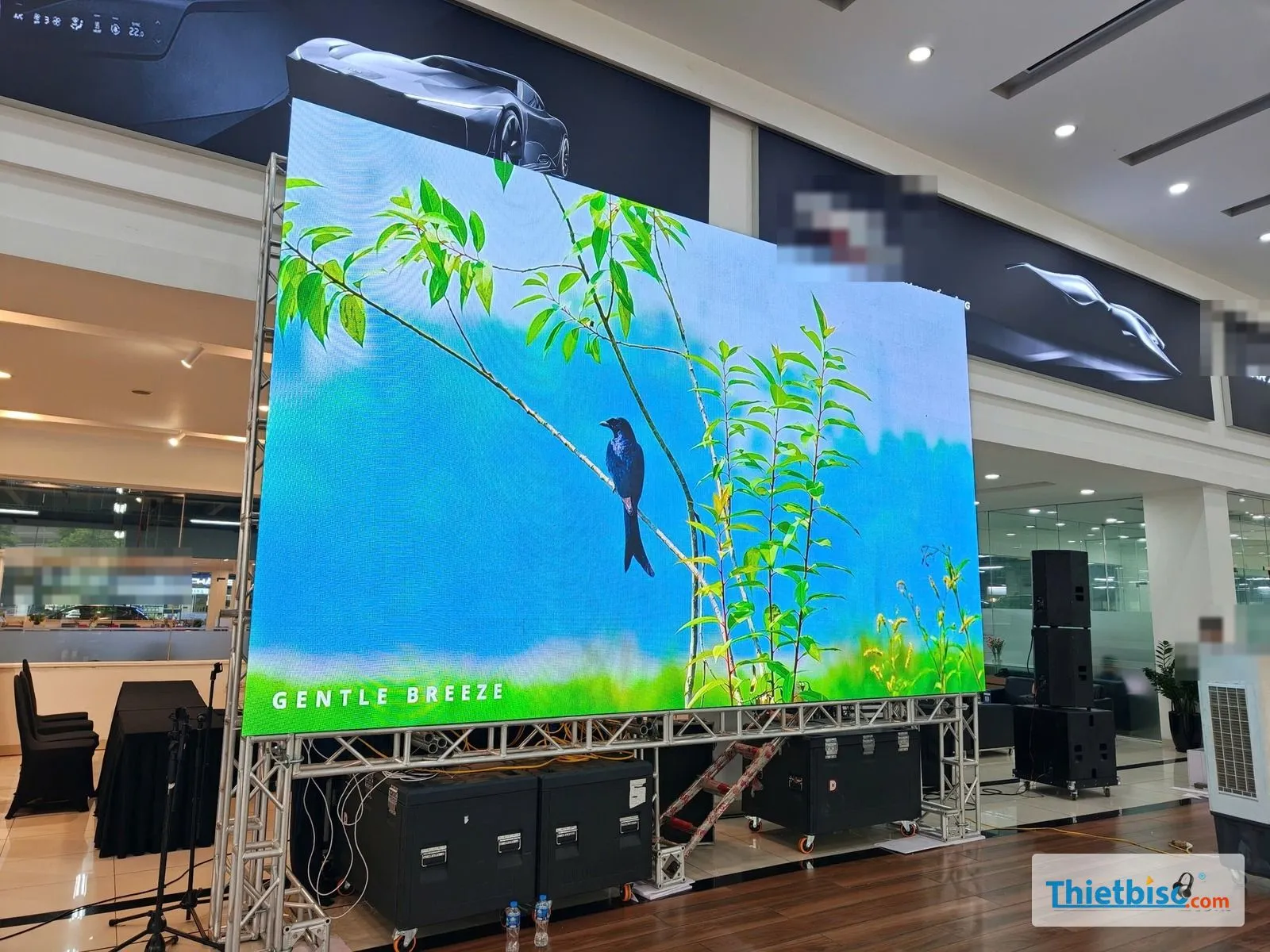 Màn LED hiển thị cảnh chim trên cành, dựng trên khung truss
